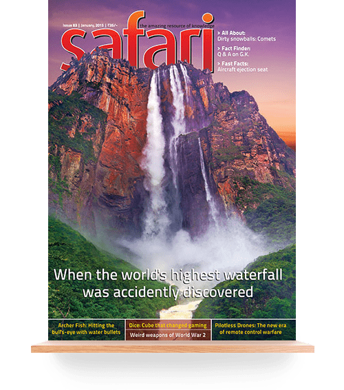 safari times magazine